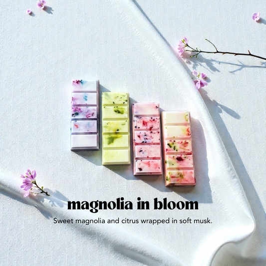 Magnolia in Bloom