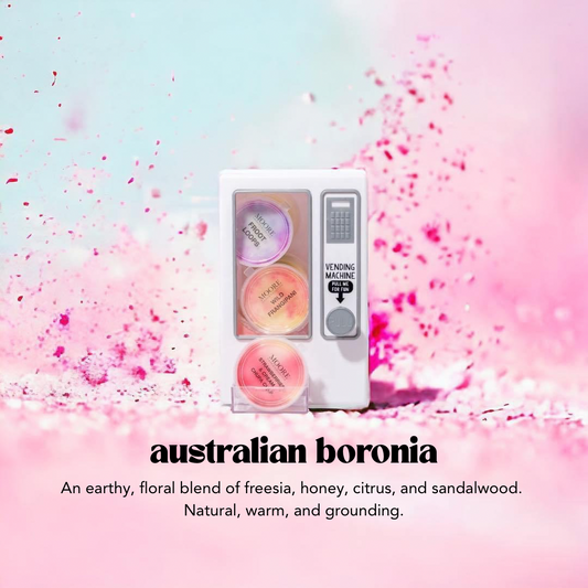 AUSTRALIAN BORONIA image 0